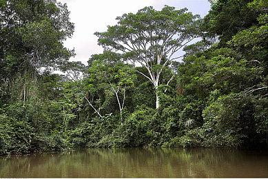 《失落的方舟》预加载量惊人导致Steam下载卡顿